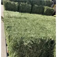 Cheap Quality Alfafa Hay
