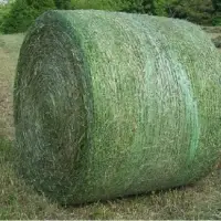 Double Pressed Alfalfa