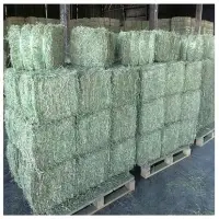 Premium Grade A Alfalfa For Sale