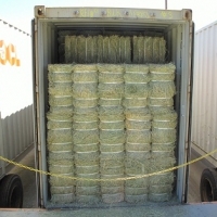Wholesale Alfalfa Hay