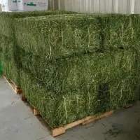 Dairy Standard Hay For Animal