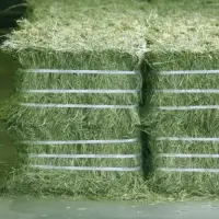Premium Timothy Alfalfa For Sale