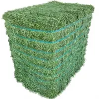 Alfalfa Hay Feed