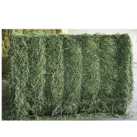 Kenyan Pure Alfalfa For Sale