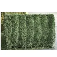 Kenyan Pure Alfalfa For Sale