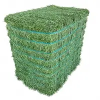 Kenyan Grade A Alfalfa 