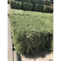 Alfalfa Hay Feed For Animal