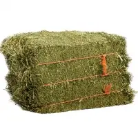 Cheap Alfalfa For Sale