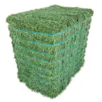 Alfalfa Hay Feed Bales