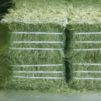Timothy Alfalfa Hay Bales