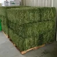 Alfalfa For Sale From Kenya