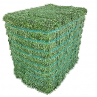 Alfalfa Bales Non Gmo For Sale