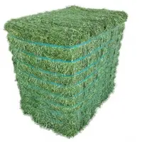 Alfalfa Bales Non Gmo For Sale