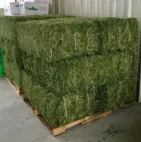 Kenyan Pure Alfalfa For Sale