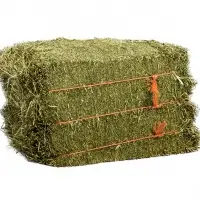 Cheap Alfalfa Bales For Sale
