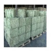 Alfafa For Animal Feeding For Sale