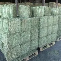 Alfalfa Bales Non Gmo For Sale
