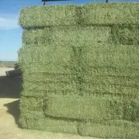 Hay Bales For Sale