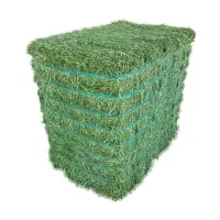 2021 Best Grade Alfalfa Hay For Sale
