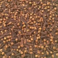 Clove 100% natural