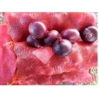 Fresh Egyptian Red Onion