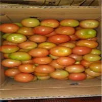 Tomatoes