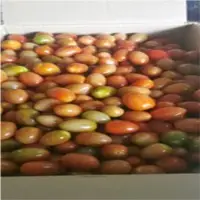 Cherry Tomato