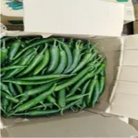Green Hot Chili