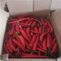 Red Hot Chili