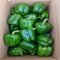Green Capcisum