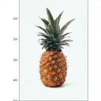 Fresh Pineapple