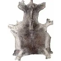 Dried Salted Donkey Skin