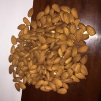 Almond Nuts