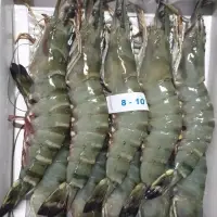 Black Tiger Prawn & Shrimp