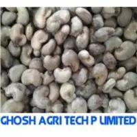 Raw Cashew Nuts