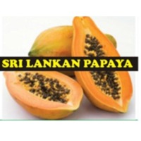 Fresh Papaya