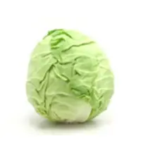 Fresh Cabbage