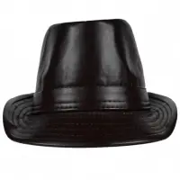 Mens Hat
