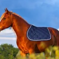 Equestrian Saddle Pads
