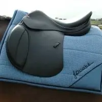 Equestrian Saddle Pads