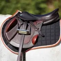 Equestrian Saddle Pads