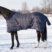 Equestrian Rugs