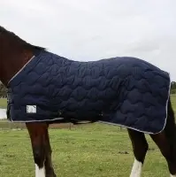 Equestrian Rugs