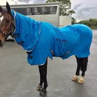 Equestrian Rugs
