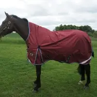 Equestrian Rugs