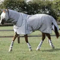 Equestrian Rugs