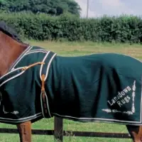Equestrian Rugs