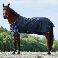 Equestrian Rugs