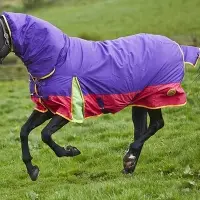 Equestrian Rugs