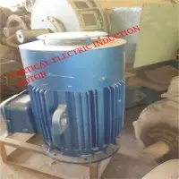 Vertical Electric Induction Motor